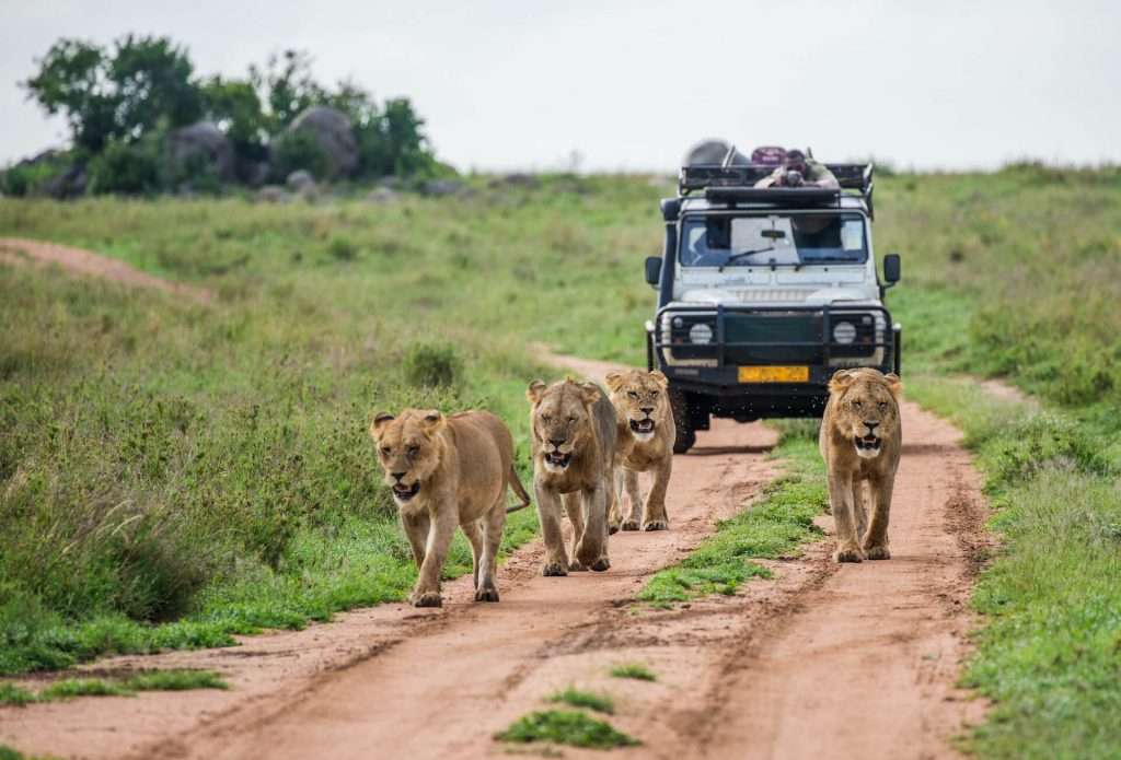 Rent A Car In Uganda Kampala