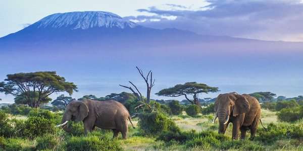 Best places to visit in Kenya / Safari in Kenya