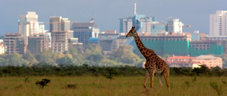 Best places to visit in Kenya / Safari in Kenya