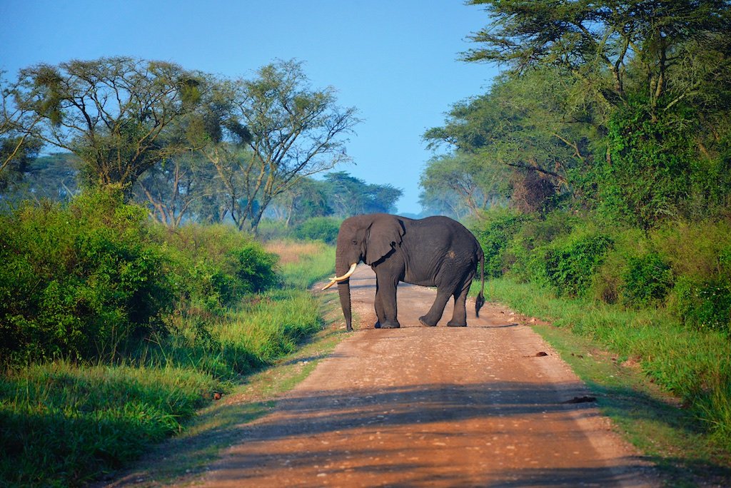 Uganda National Parks