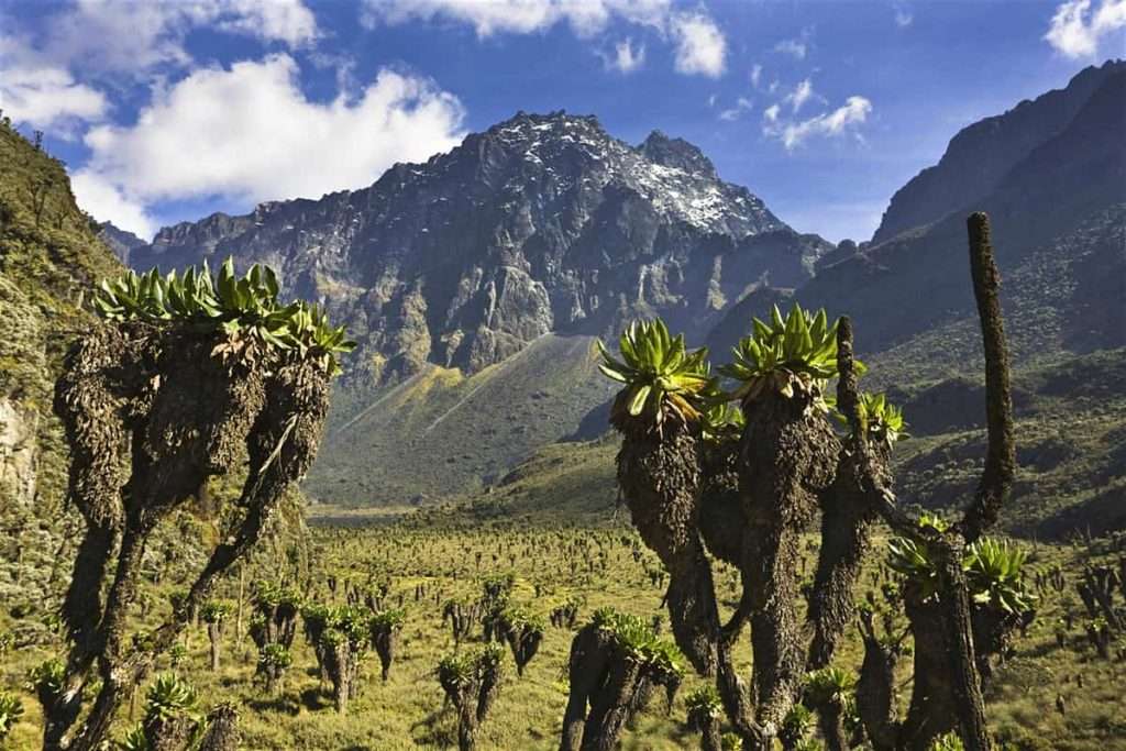 Rwenzori Mountains National Park