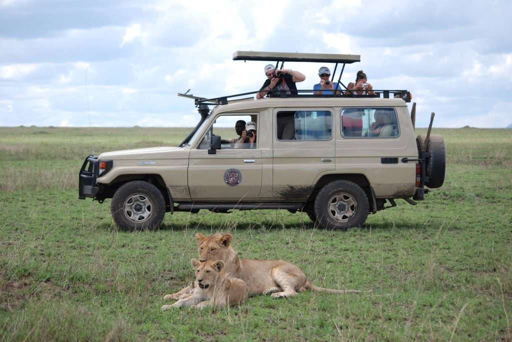 Safari in Tanzania $ Wildlife Tours Tanzania