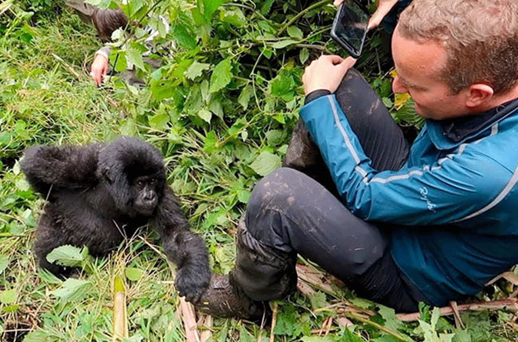 Uganda Gorilla Permits