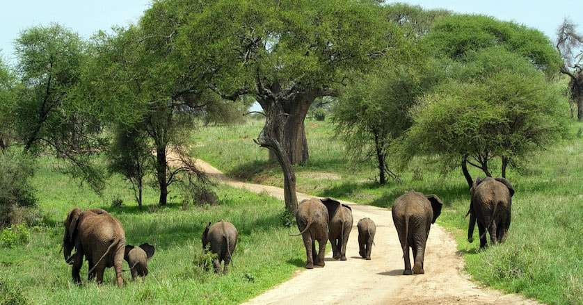 Kidepo Valley National Park