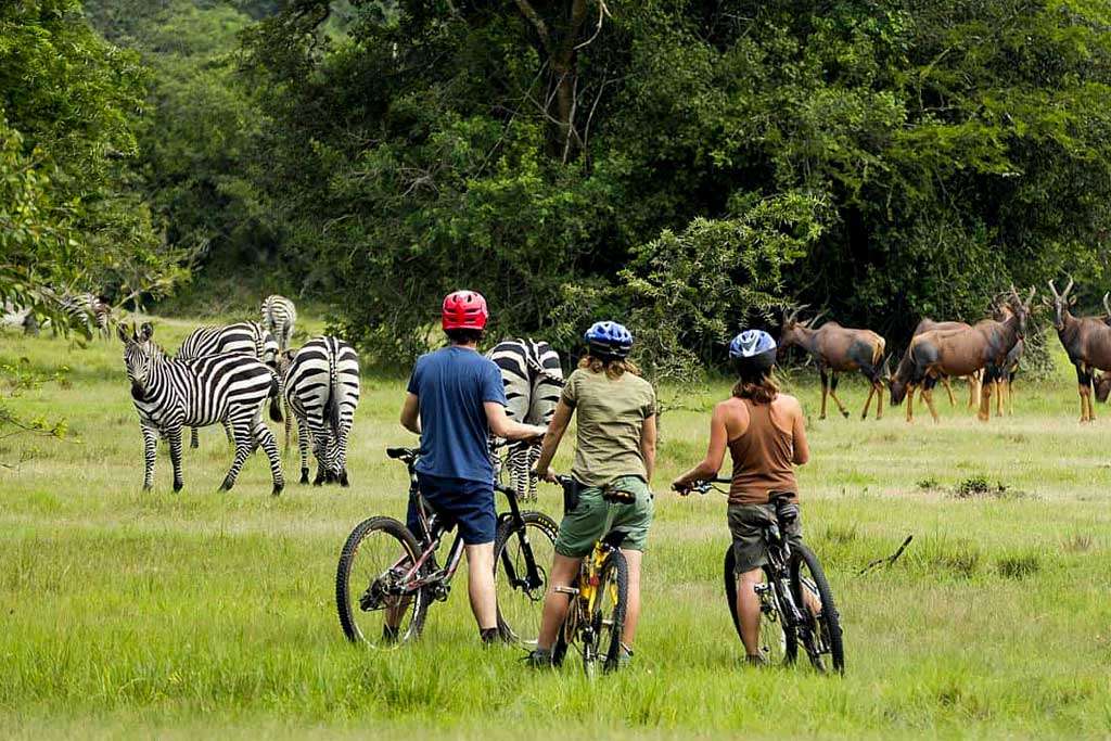 Lake Mburo National Park