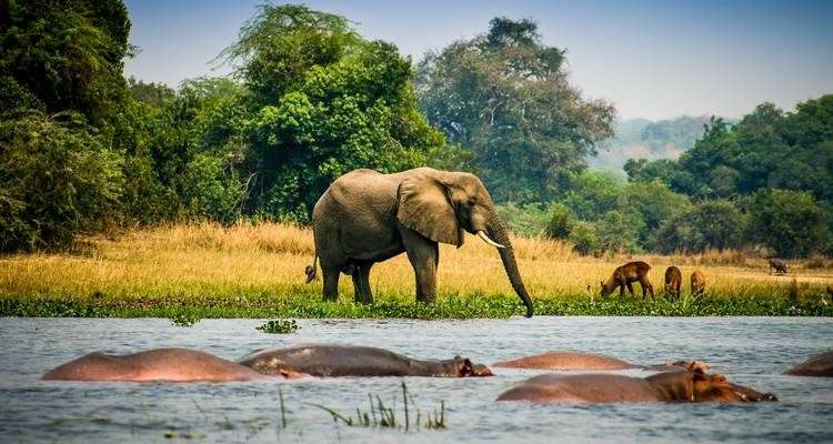 Discover The Magic Of Uganda - Uganda Safari Packages