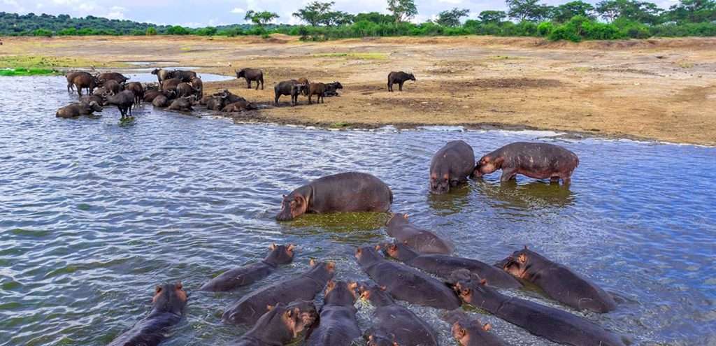 Uganda National Parks