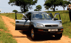 Toyota RAV4 Rental Uganda – Best 4x4 Car Hire Deals