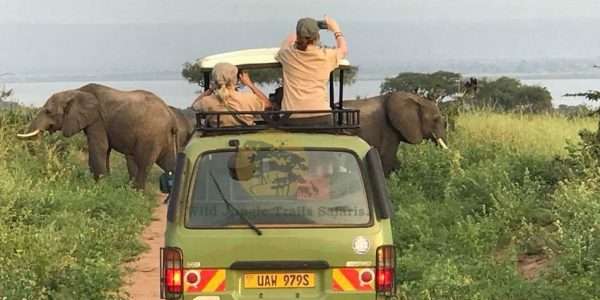 10-Day Uganda Safaris