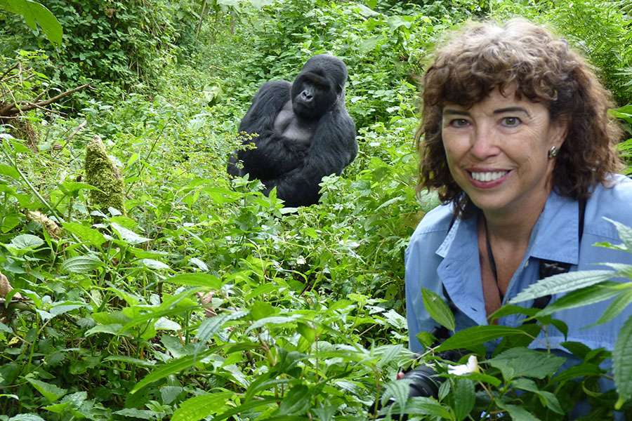 Gorilla Tour Uganda für Deutsche / Uganda Gorillas Urlaub Tipps