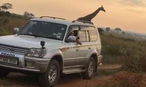 Alquiler de vehículos 4x4 en Kampala, Uganda