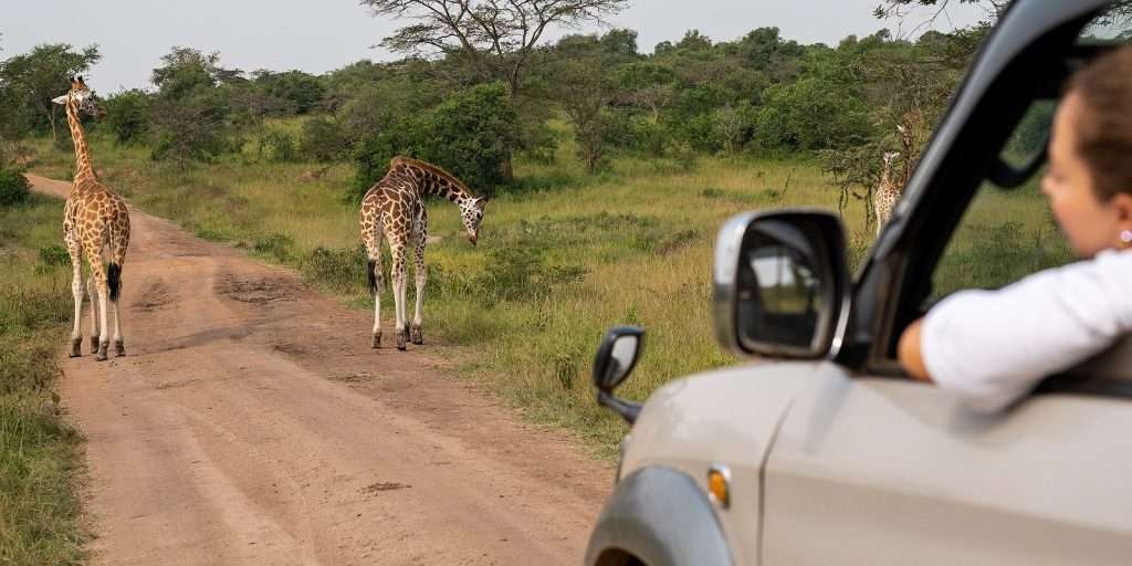 Self Drive Safari Uganda - Self Drive Safari In Uganda