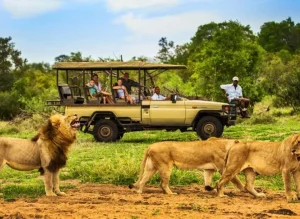 Affordable Safari Car Hire In Uganda