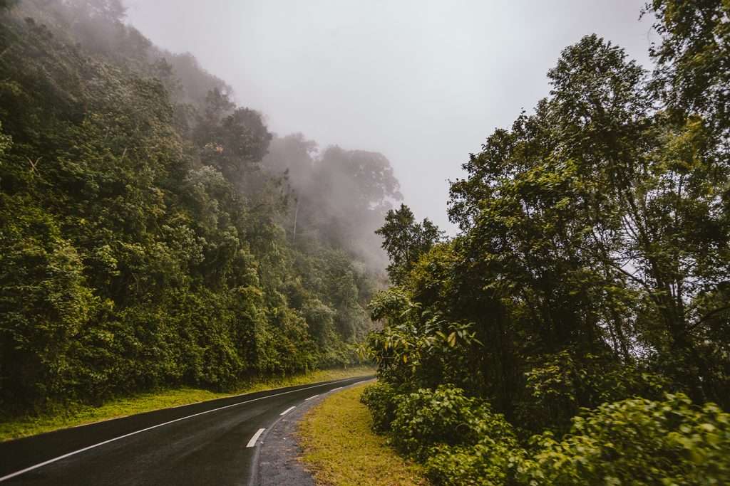 Nyungwe Forest National Park