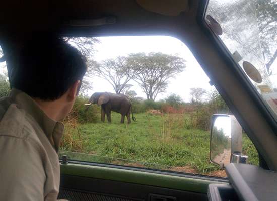 Top Attractions For Self Driving In Uganda