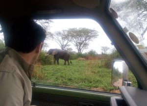 Self Drive Uganda Itinerary