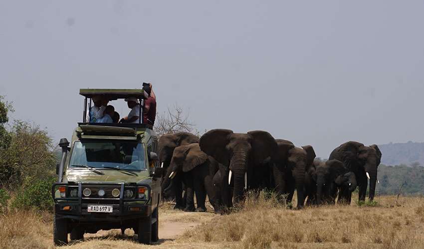 Top Cross Border Countries To Visit On A Self Drive Adventure From Uganda