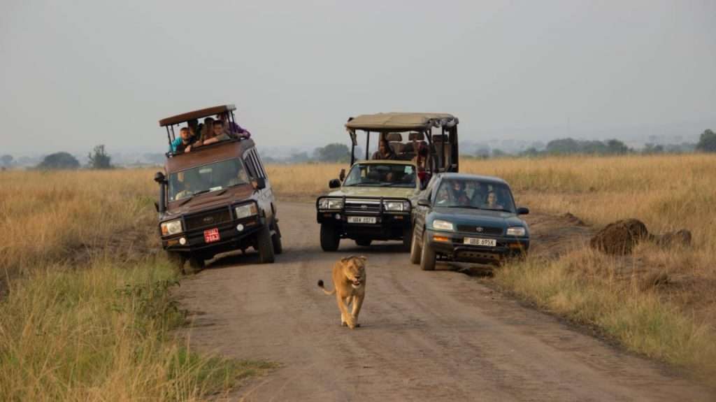 Top Cross Border Countries To Visit On A Self Drive Adventure From Uganda