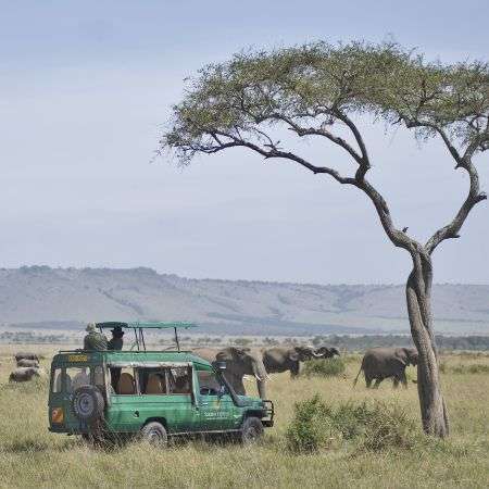 Uganda Safari Prices / Gorilla Trekking Uganda Cost