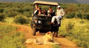 Safari Car Hire In Uganda