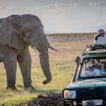 Best Car Rental Prices In Uganda – FK Car Rental Uganda