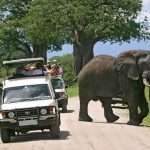 Best Safari Self Drive Routes In Uganda