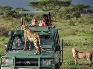 Luxury Uganda Safaris / Primate Encounters