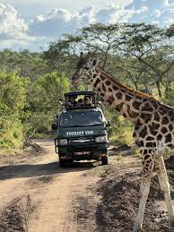 Luxury Uganda Safaris / Primate Encounters