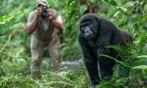 14 Days Wildlife Tour In Uganda