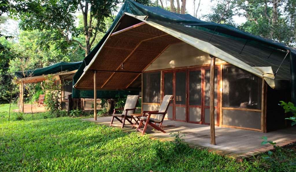 Ishasha Wilderness Camp Uganda