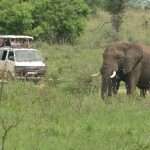 4×4 Safari Car Rental In Uganda