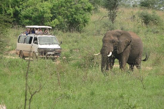 Songbird Safari Lodge & Campsite