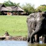 Best 7 Days Uganda Itinerary – Wildlife, Culture & Adventure