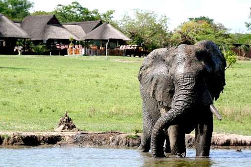 Nkorho Bush Lodge – The Jewel of Africa