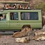 Аренда автомобилей для сафари в Уганде для российских туристов