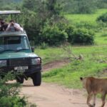 10 Days Self Drive Safari With Camping In Murchison Falls National Park