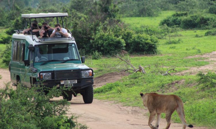 10 Days Self Drive Safari With Camping In Murchison Falls National Park