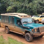 Best 4×4 Car Rental For Gorilla Trekking In Uganda
