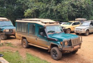 Best 4x4 Car Rental For Gorilla Trekking In Uganda
