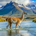 5 Unique National Parks In South America Where Waterfalls, Wildlife and Wilderness Come Alive